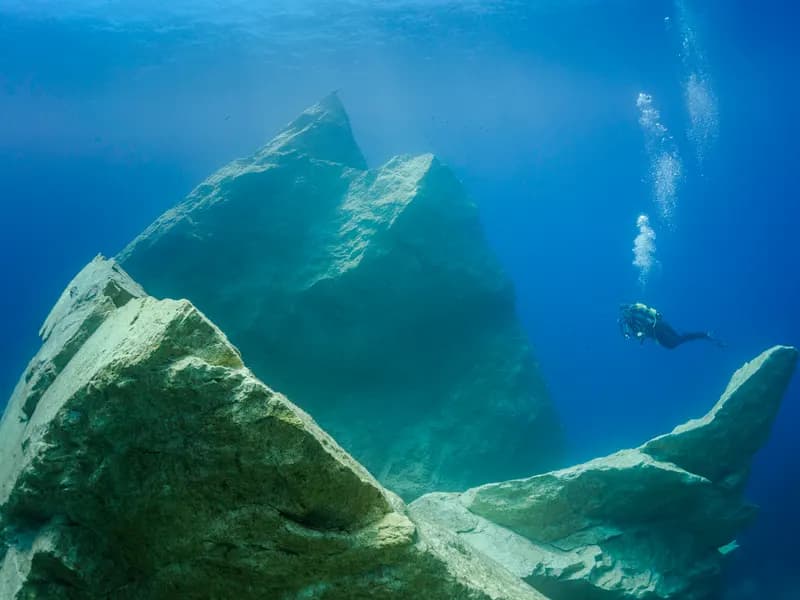 Duiker zwemt langs reusachtige rotsblokken in helderblauw water bij de Azure Reef op Gozo