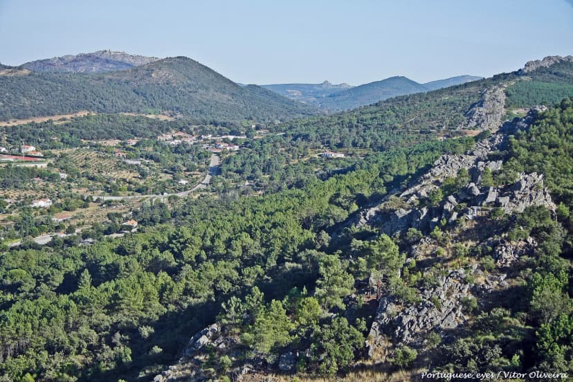 Glooiend landschap met olijfbomen bij Castelo de Vide in de Alentejo