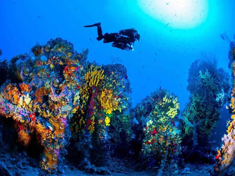 7 redenen waarom Malta de tweede beste duikbestemming ter wereld is