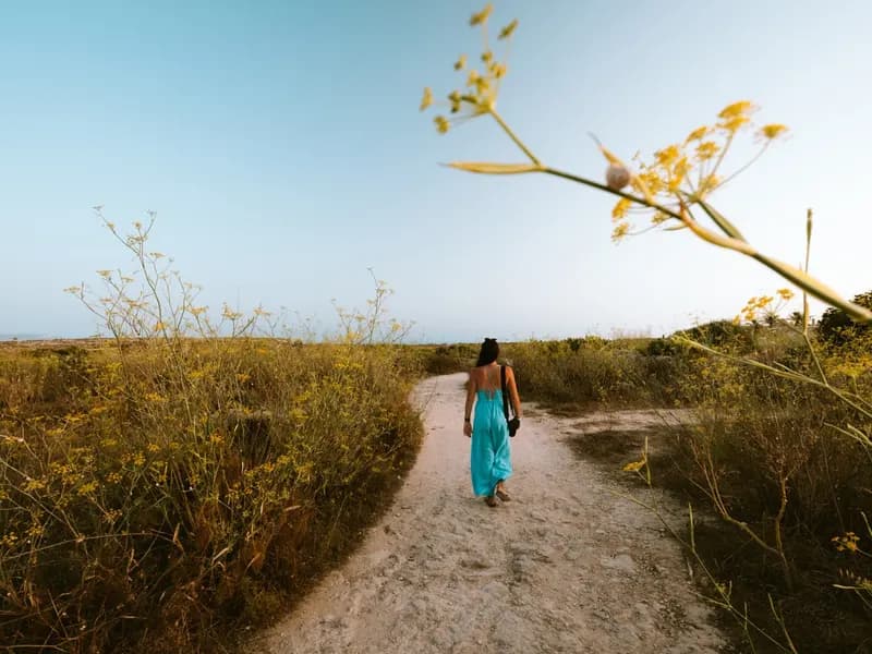 Malta in het najaar wandelpad tussen wilde bloemen bij zonsondergang