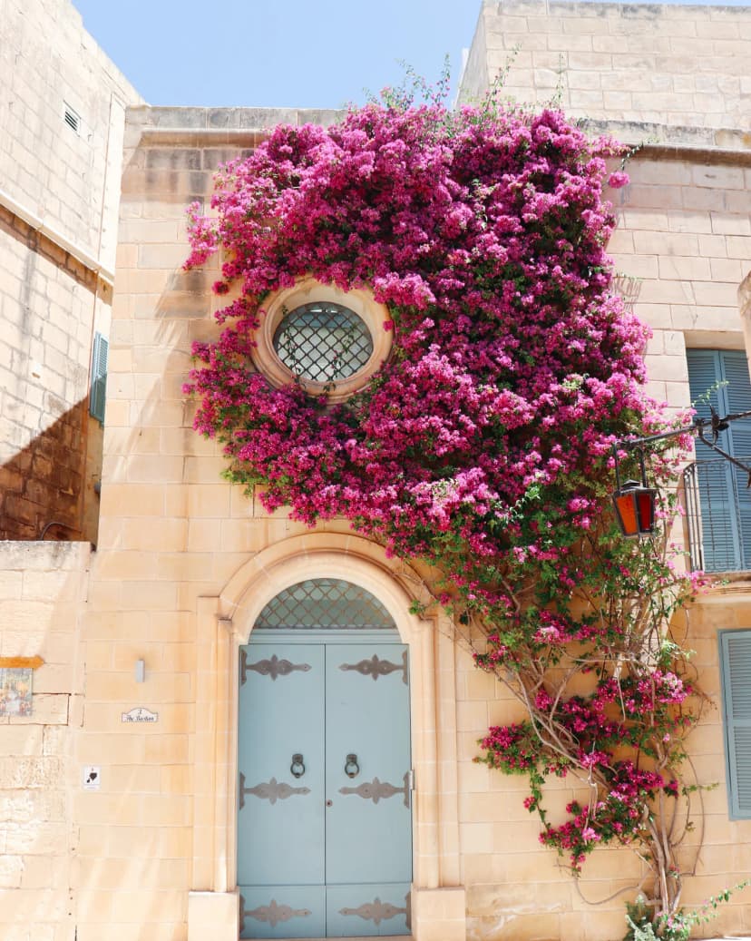 Mdina