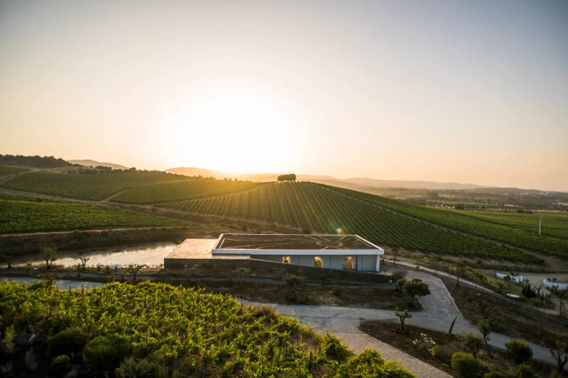 Alentejo, het Toscane van Portugal: waar schoonheid en charme samenkomen