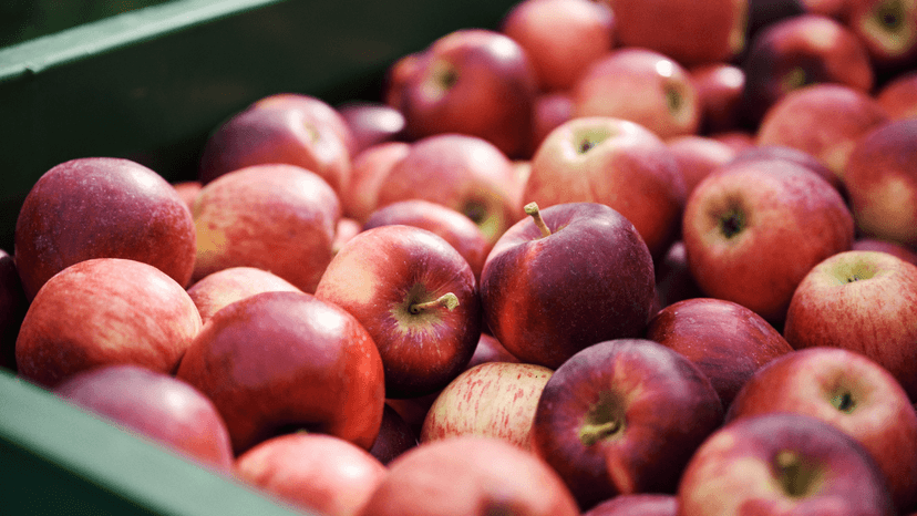 proeverijen in Zuid-Tirol: appels proeven als sommelier