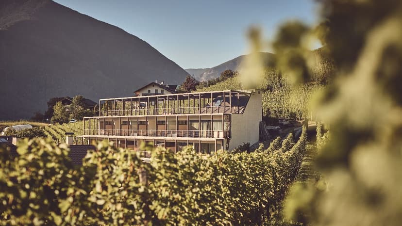Wijnvakantie in Zuid-Tirol: boetiekhotel byHaller tussen de wijngaarden van het Eisacktal