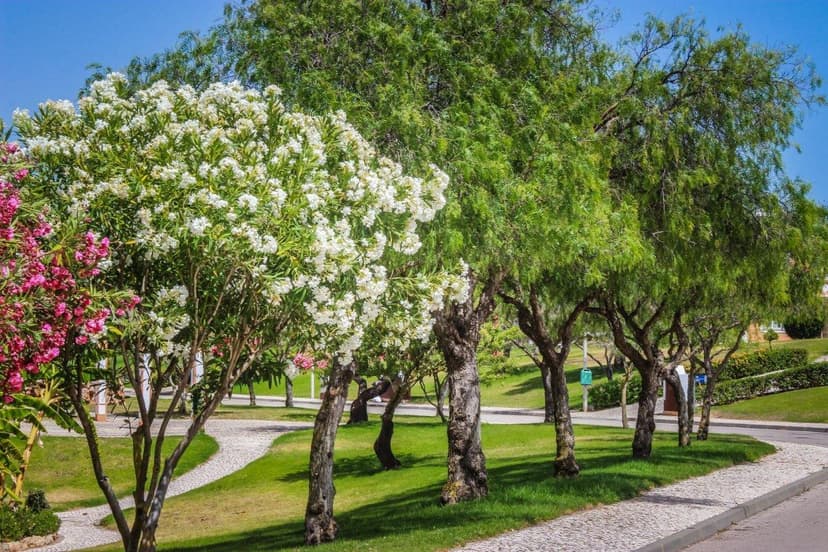 Colina da Lapa & Villas – foto 2