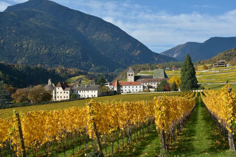 Wijnvakantie in Zuid-Tirol: Kloster Neustift tussen de herfstwijngaarden van het Eisacktal