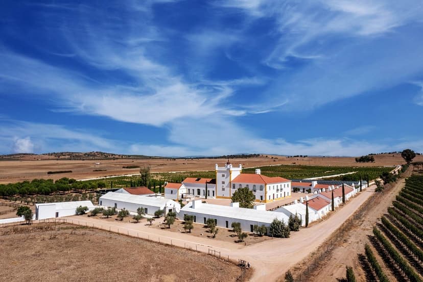 Luchtfoto van wijnlandgoed Torre de Palma in de Alentejo met wijngaarden en de karakteristieke toren