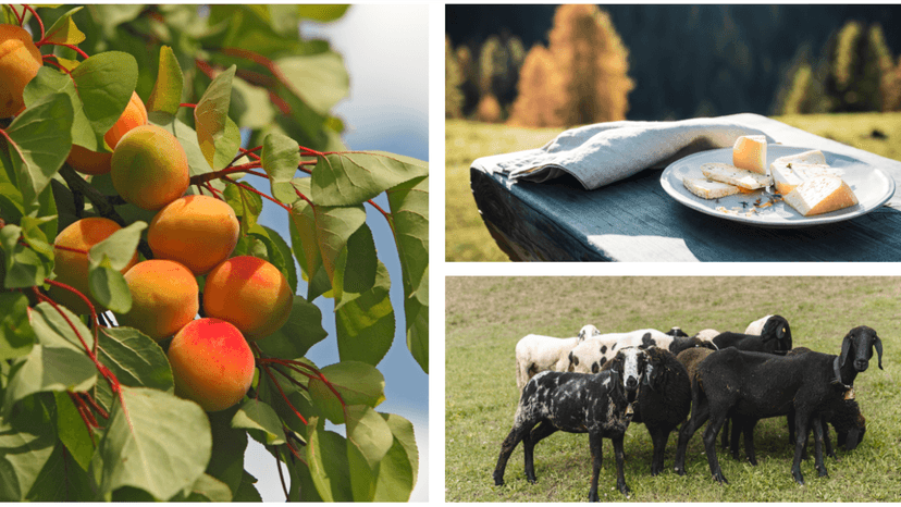 proeverijen in Zuid-Tirol: streekproducten van de boerderij
