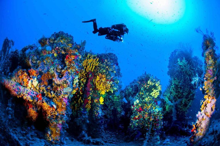7 redenen waarom Malta de tweede beste duikbestemming ter wereld is