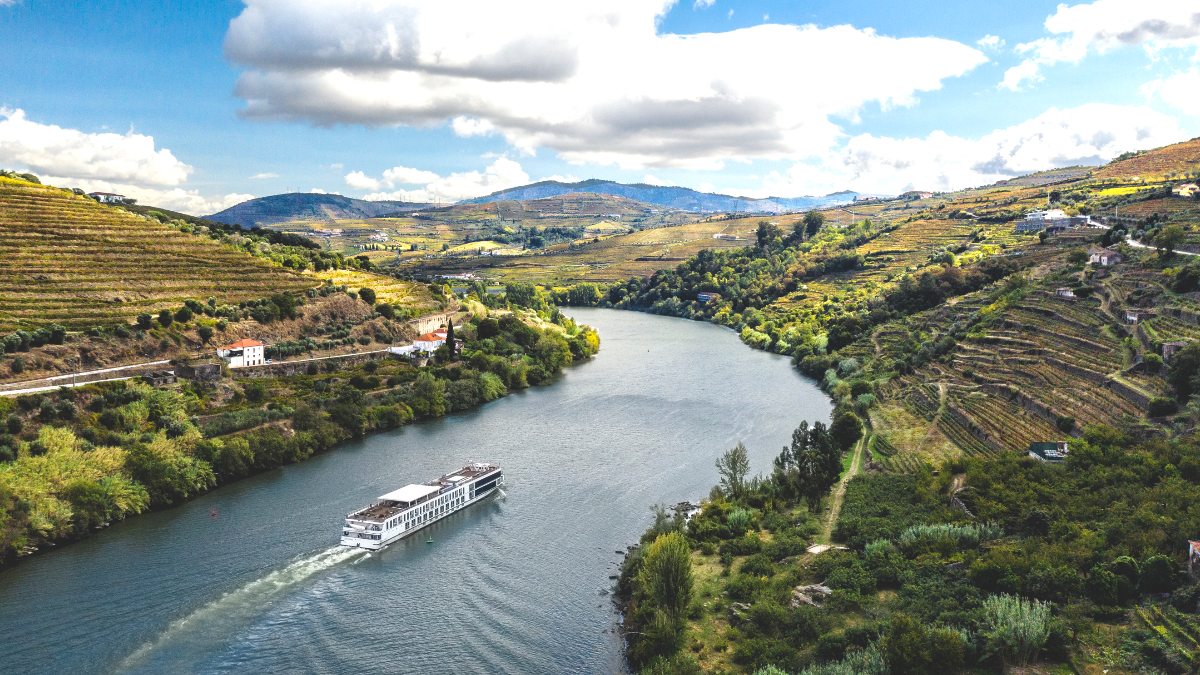 Terrasvormige wijngaarden in de Douro-vallei in Portugal