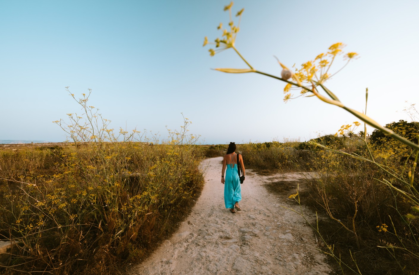 Malta in het najaar wandelpad tussen wilde bloemen bij zonsondergang