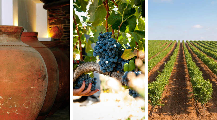 Alentejo in 2026 vinho de talha aarden vaten