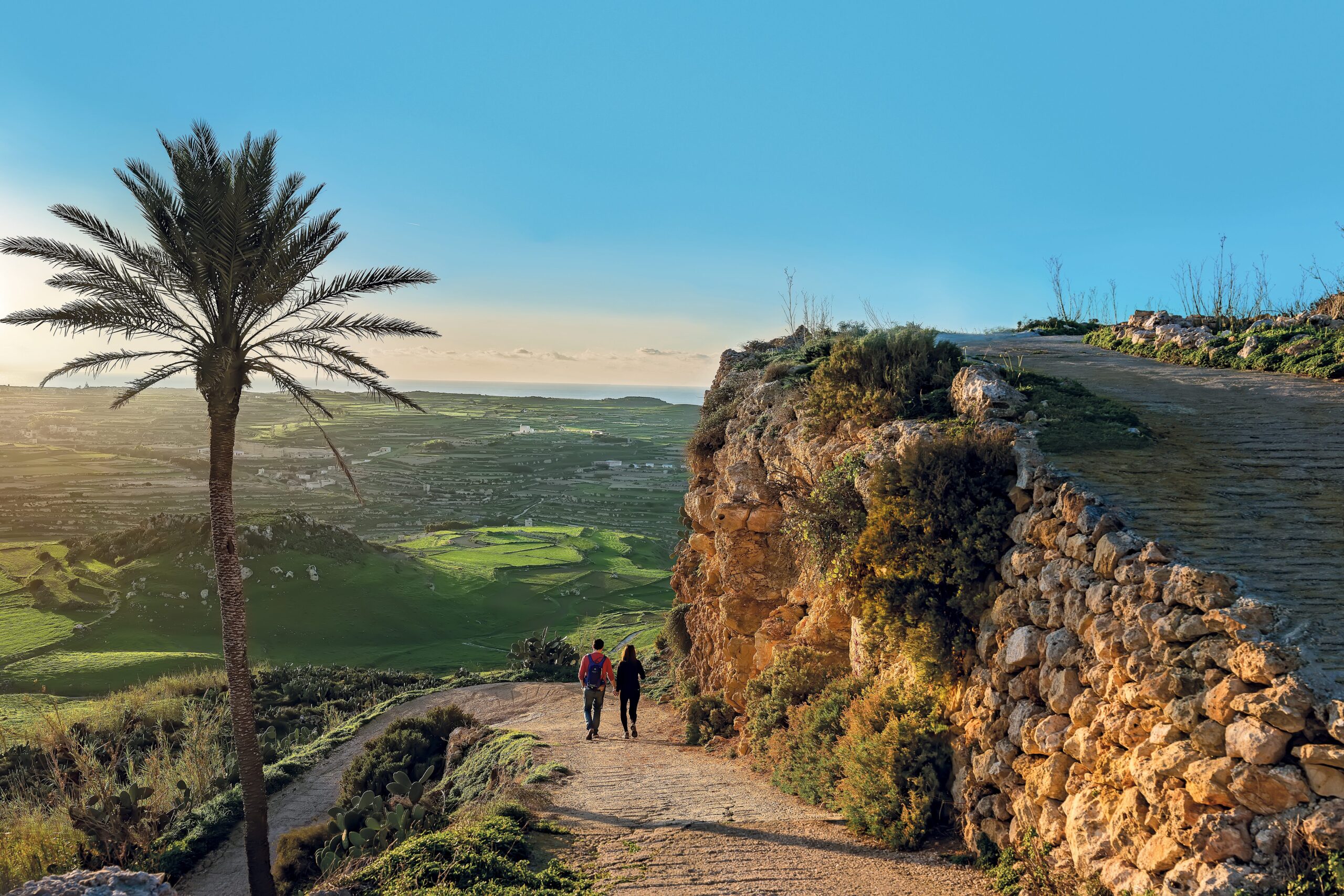 Wandelpad op Gozo langs een palmboom en een natuurstenen muur bij zonsondergang