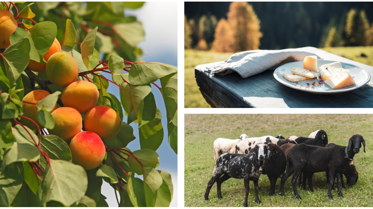 proeverijen in Zuid-Tirol: streekproducten van de boerderij